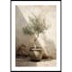 Poster Gallerix Olive Tree Mediterranean No1