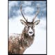 Poster Gallerix Winter Buck In Snow
