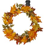 Krans Star Trading Autumn