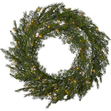 Krans Star Trading Thuja