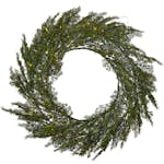Krans Star Trading Thuja