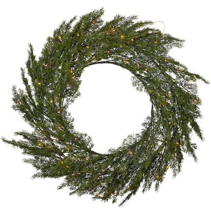 Krans Star Trading Thuja