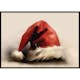 Poster Gallerix Santas Christmas Hat