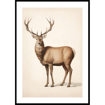 Poster Gallerix Brown Deer