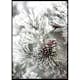 Poster Gallerix Snowy Fir Branch