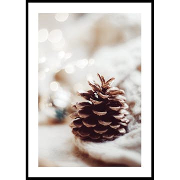 Poster Gallerix Fir Cone
