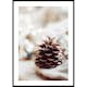 Poster Gallerix Fir Cone