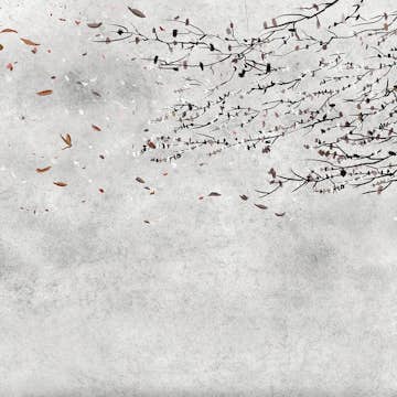 Tapet Coordonné Core 6600085