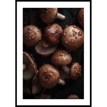 Poster Gallerix Mushrooms No2
