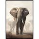 Poster Gallerix Elephant Matriarch