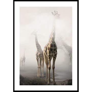 Poster Gallerix Giraffes Sky High