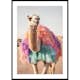 Poster Gallerix Camel In Colors