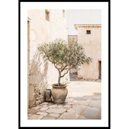 Poster Gallerix Olive Tree Mediterranean Setting No1