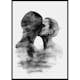 Poster Gallerix Monochrome Kiss