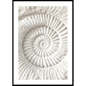 Poster Gallerix The Nautilus Carving