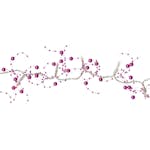 Ljusslinga Star Trading Pearlz