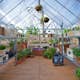 Växthus Canopia by Palram Balance 8,9 m²