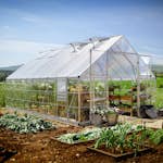 Växthus Canopia by Palram Balance Aluminiumram med UV-Skyddad Polykarbonat & Ventilationsfönster, 14,3 m²