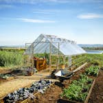 Växthus Canopia by Palram Balance 21,5 m² Silver