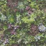 Tapet Galerie Wallcoverings Evergreen 7322