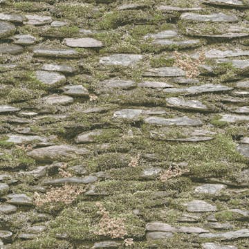 Tapet Galerie Wallcoverings Evergreen 7336