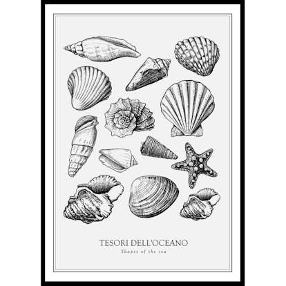 Poster Gallerix Tesori Dell'Oceano