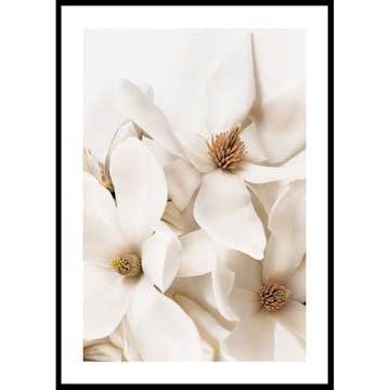Poster Gallerix Magnolia Dream