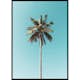 Poster Gallerix Palm Tranquility