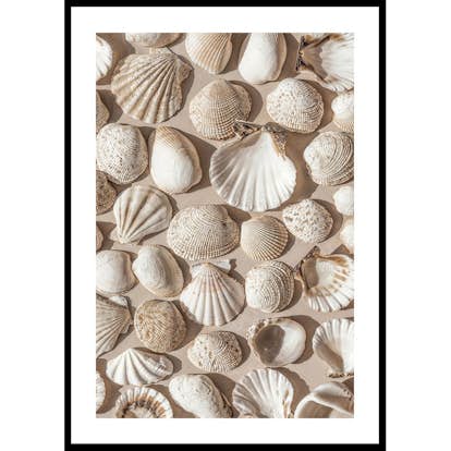 Poster Gallerix Coastal Seashell Medley