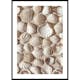 Poster Gallerix Coastal Seashell Medley