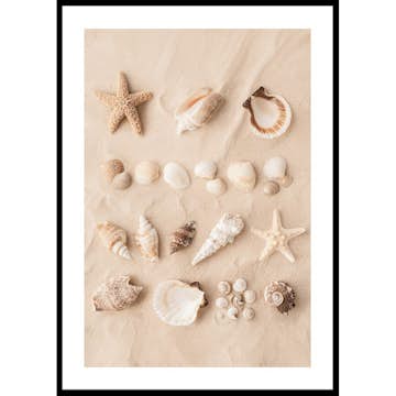 Poster Gallerix Coastal Shells