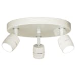 Spotlights  Aneta Lumi