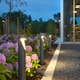 Pollare Norlys Oppland 5123