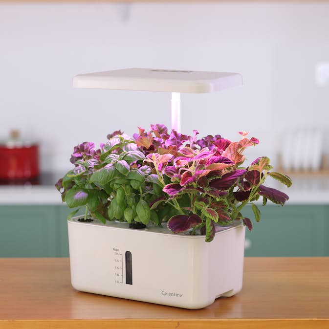 Odlingsset GreenLine Urban Growing 8-Pack