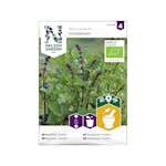 Frö Basilika Kanel Nelson Garden Cinnamon