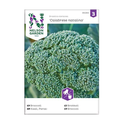 Frö Broccoli Nelson Garden Calabrese natalino