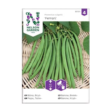 Frö Brytböna Nelson Garden Ferrari