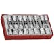 Insex hylsbitssats 16 delar med 1/2 tum fyrkantsfäste Teng Tools TTHEX16