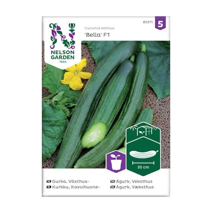 Frö Växthusgurka Nelson Garden Bella F