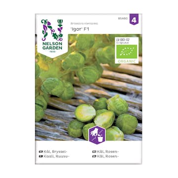 Frö Brysselkål Nelson Garden Igor F1 Organic