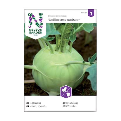 Frö Kålrabbi Nelson Garden Delikatess Weisser