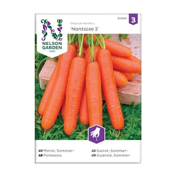 Frö Sommarmorot Nelson Garden Nantaise 2