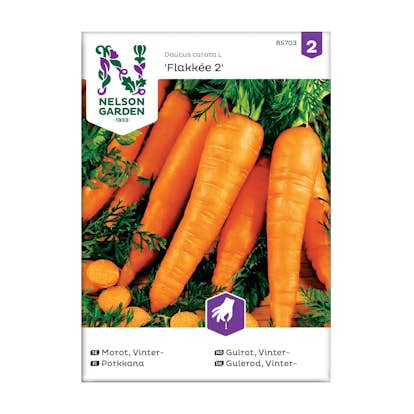 Frö Höst- och Vintermorot Nelson Garden Flakkée 2