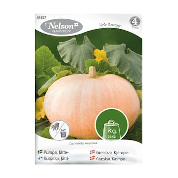 Frö Jättepumpa Nelson Garden Gele Reuzen