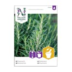 Frö Rosmarin Nelson Garden