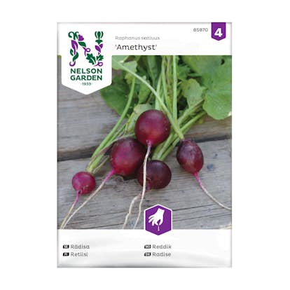 Frö Rädisa Nelson Garden Amethyst