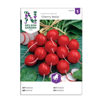 Frö Rädisa Nelson Garden Cherry Belle