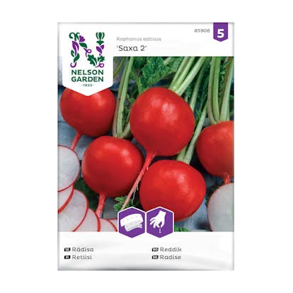 Frö Rädisa Nelson Garden Saxa 2 Såband