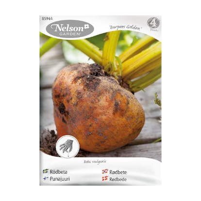 Frö Rödbeta Nelson Garden Burpees Golden