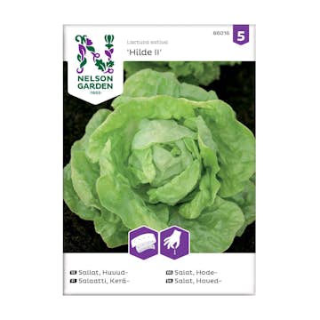 Frö Huvudsallat Nelson Garden Hilde II Såband